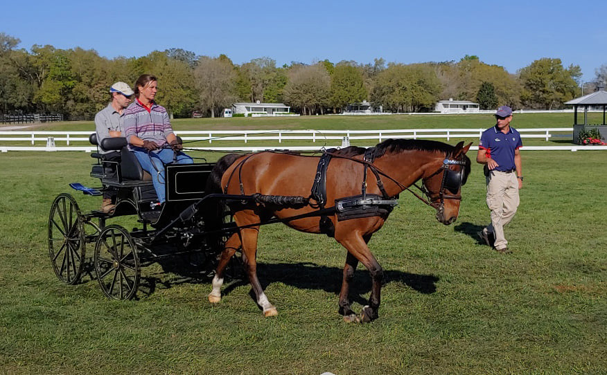 Clinics - The Grand Oaks Resort