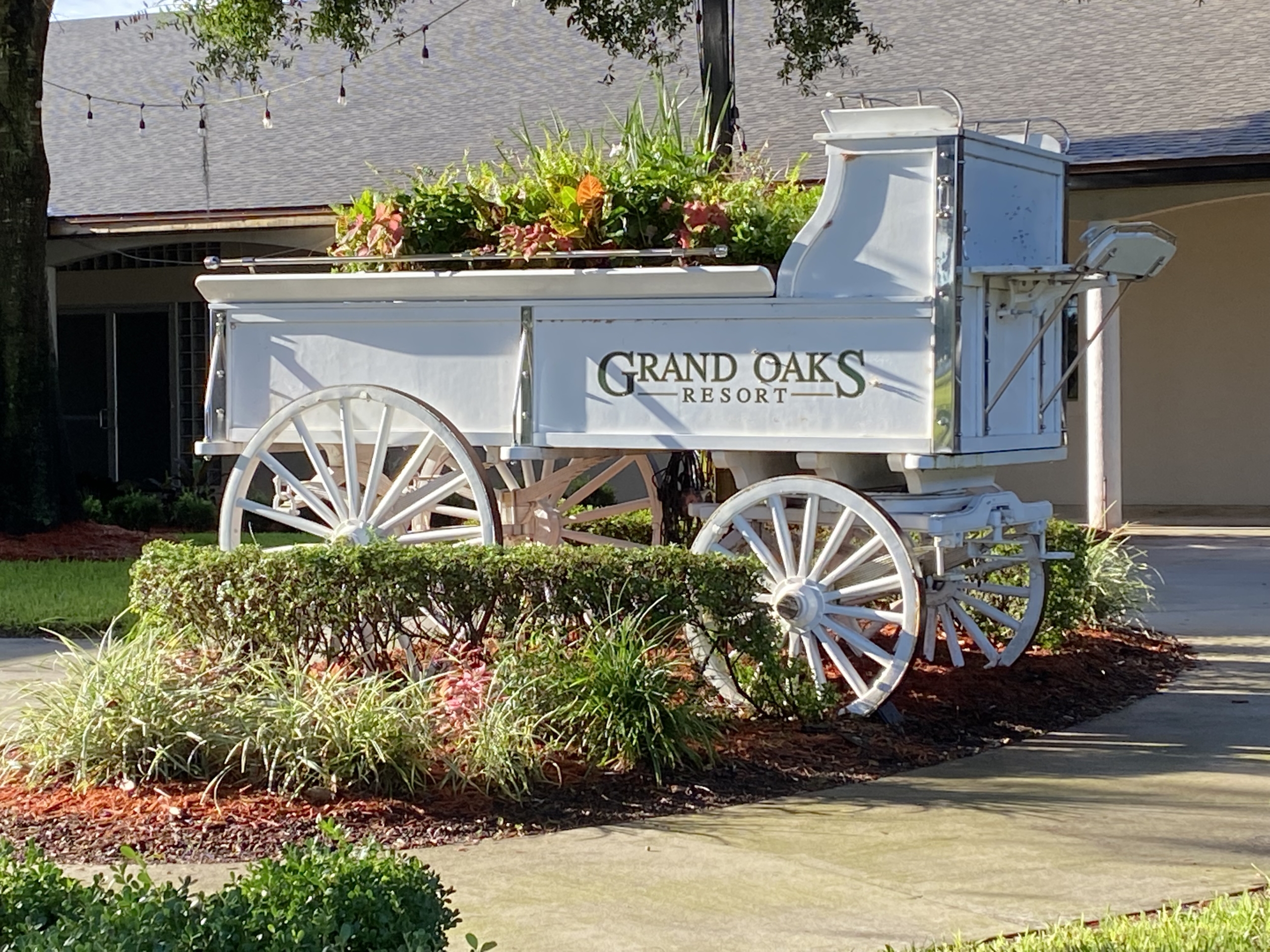 Carriage in front of The Bistro at The Grand Oaks Resort