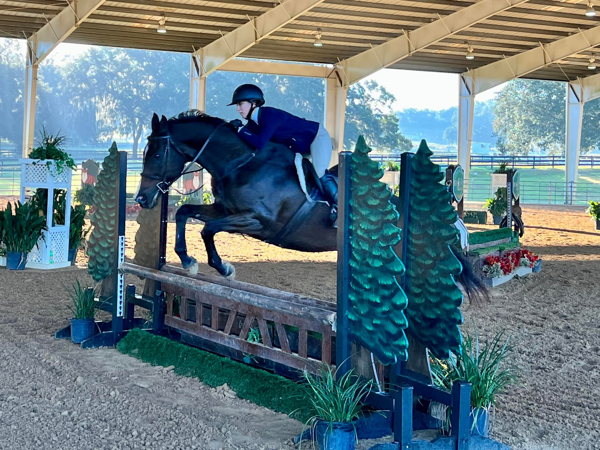 Hunter/Jumper show at The Grand Oaks Resort in Weirsdale, Florida