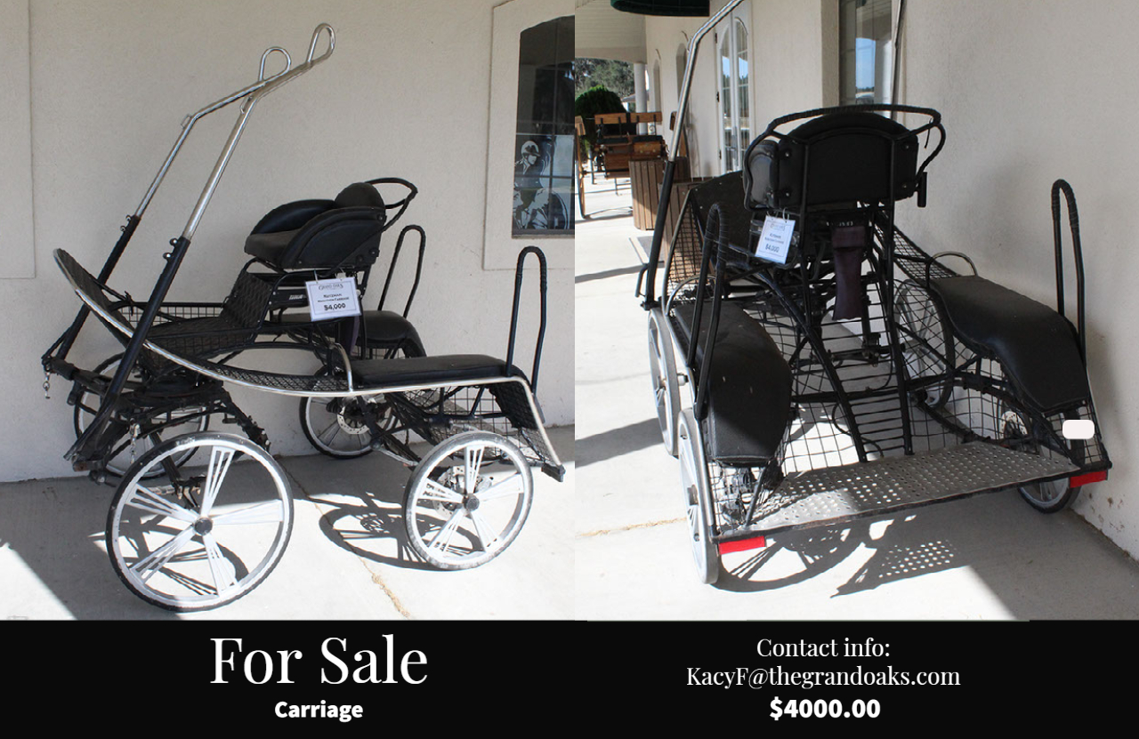 carriage for sale at the Grand Oaks resort