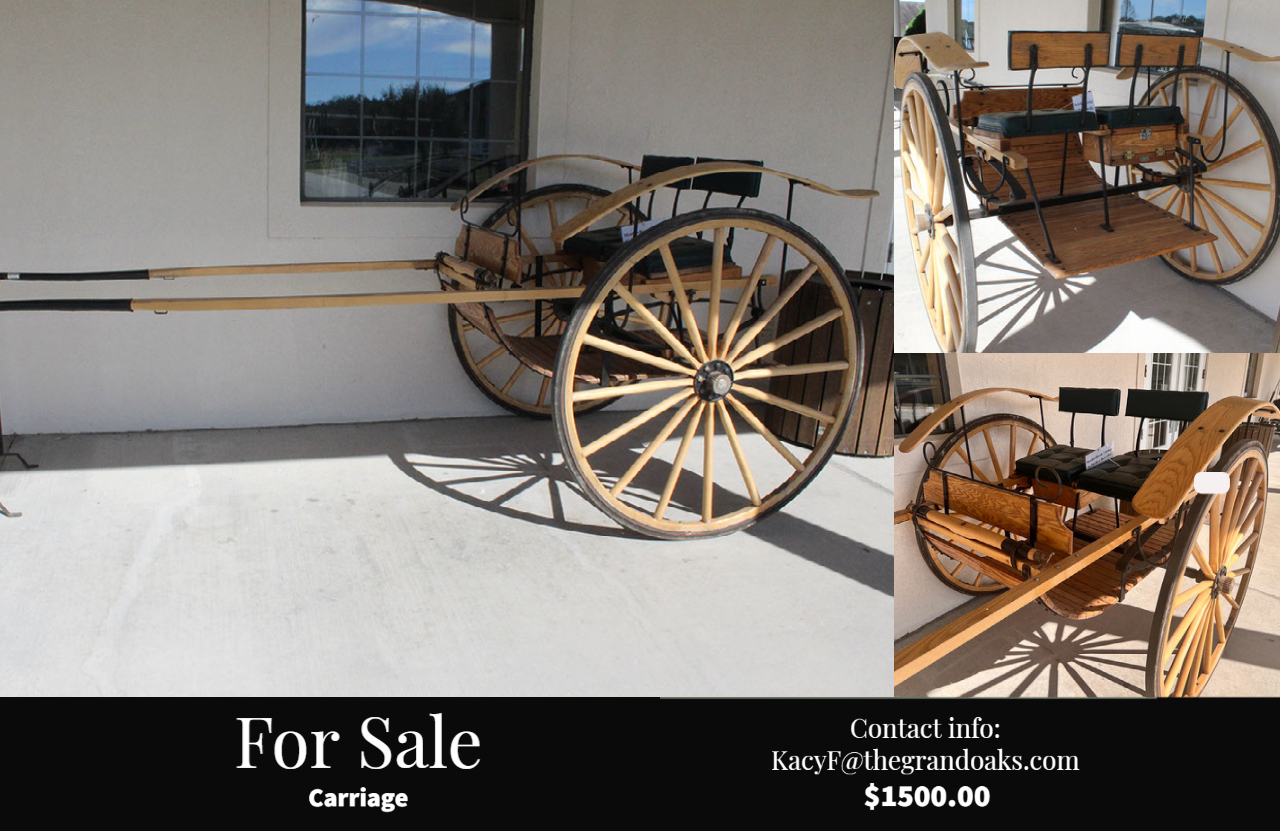 carriage for sale at the grand oaks resort