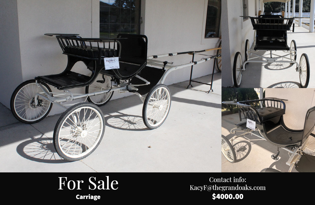 Carriage for Sale