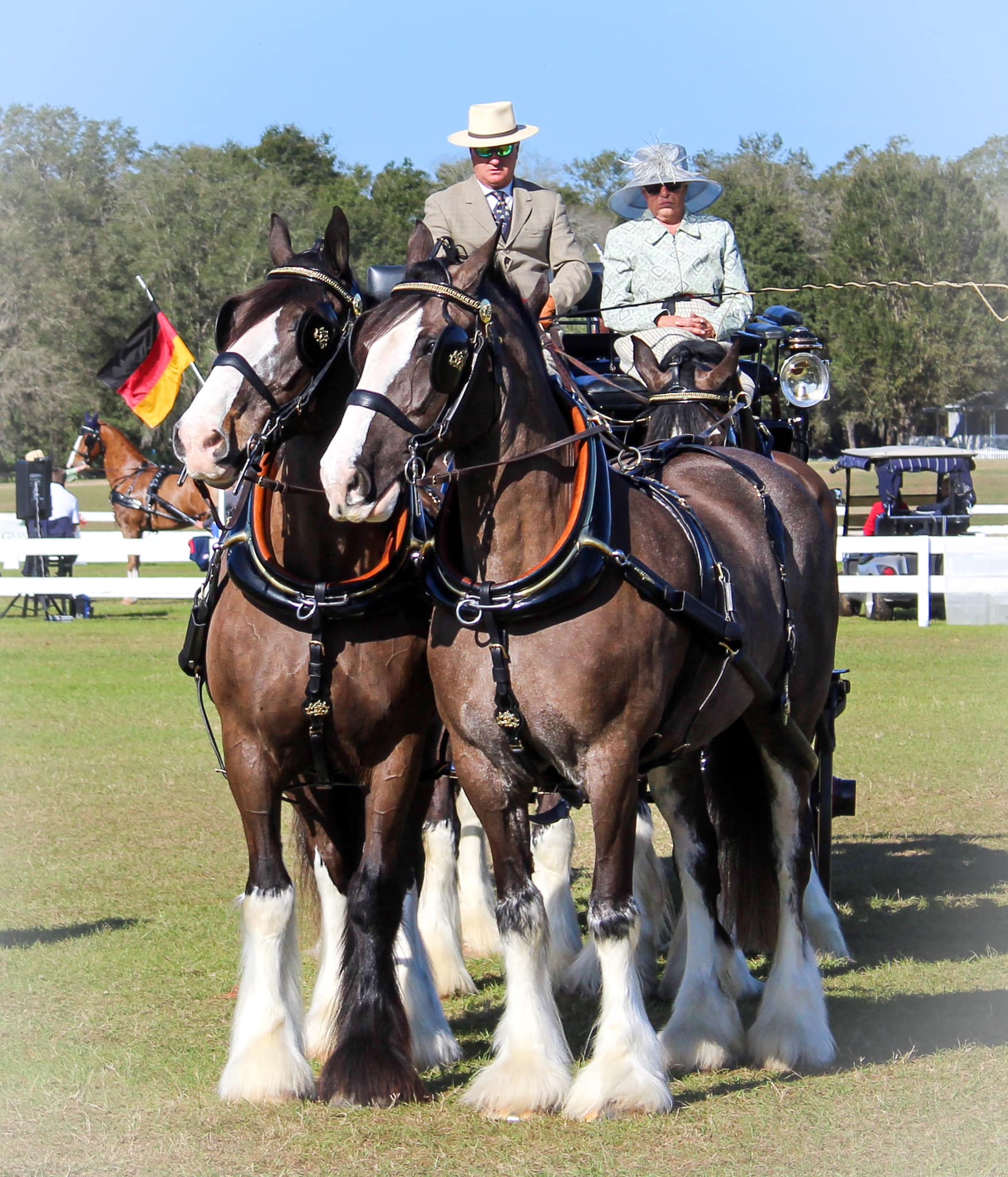 Carriage Driving at the Grand Oaks resort