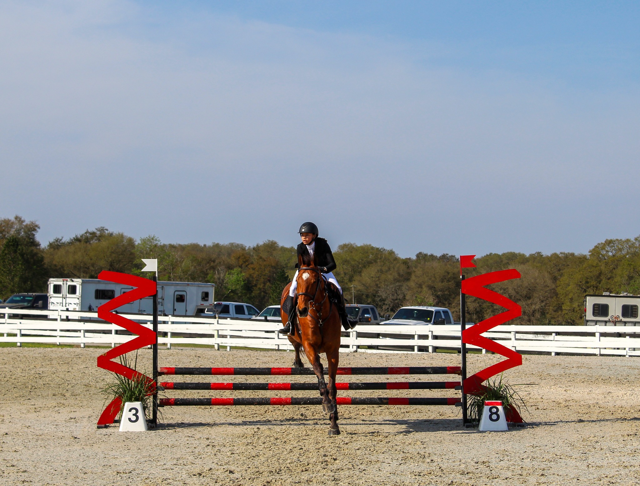 Show jumping at the Grand Oaks Resort