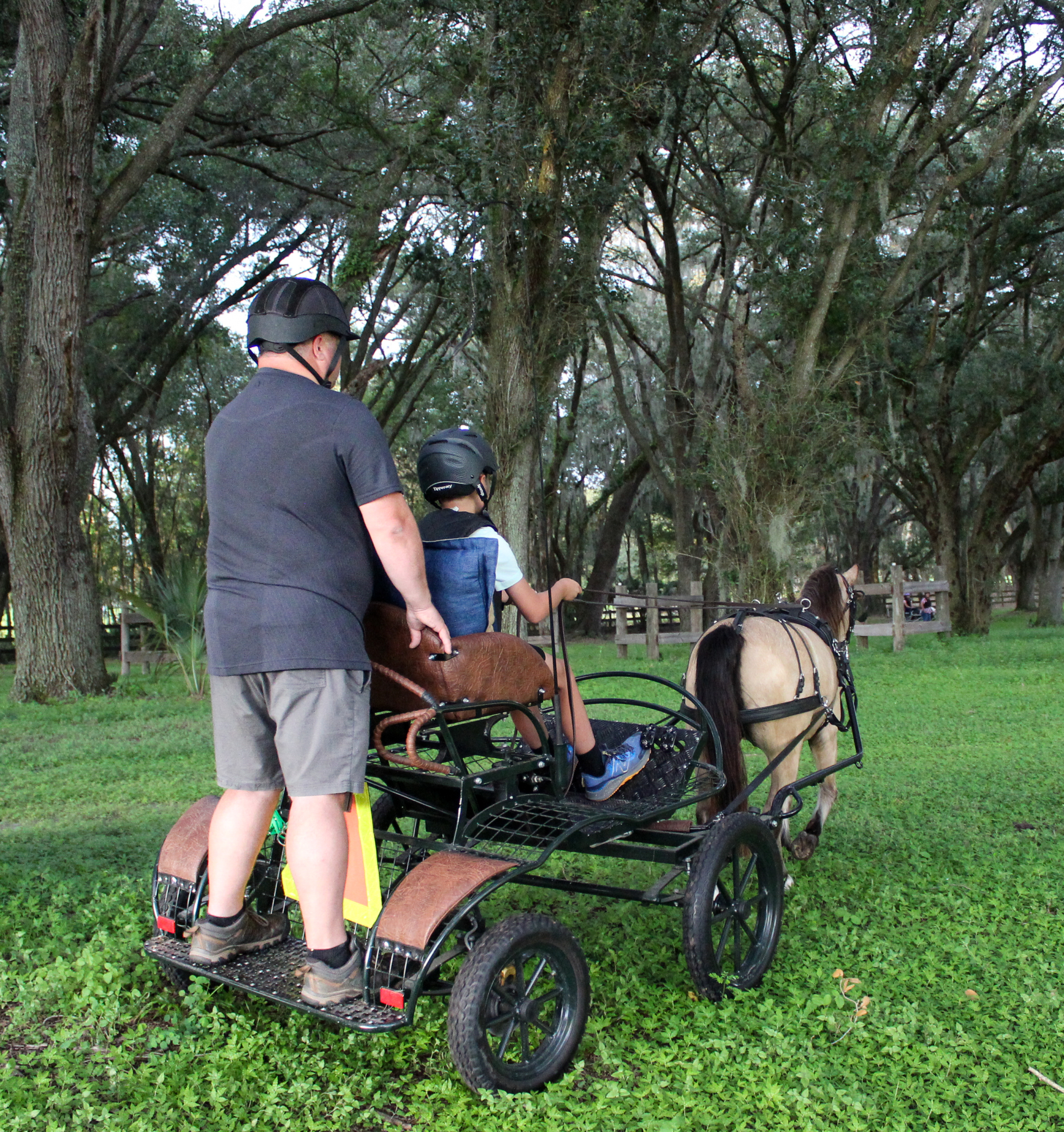 youth carriage driving at the Grand Oaks