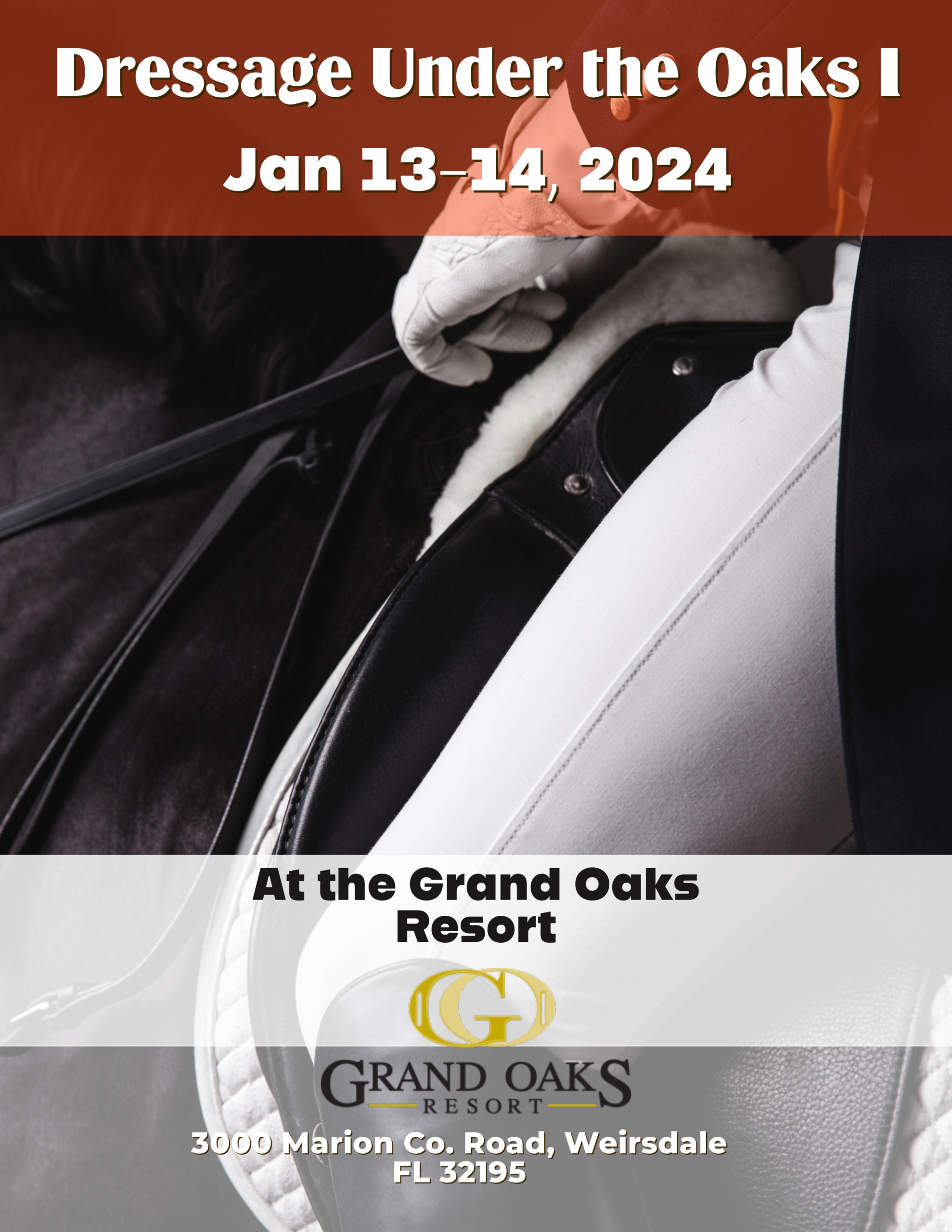 Dressage horse show at the Grand Oaks Resort