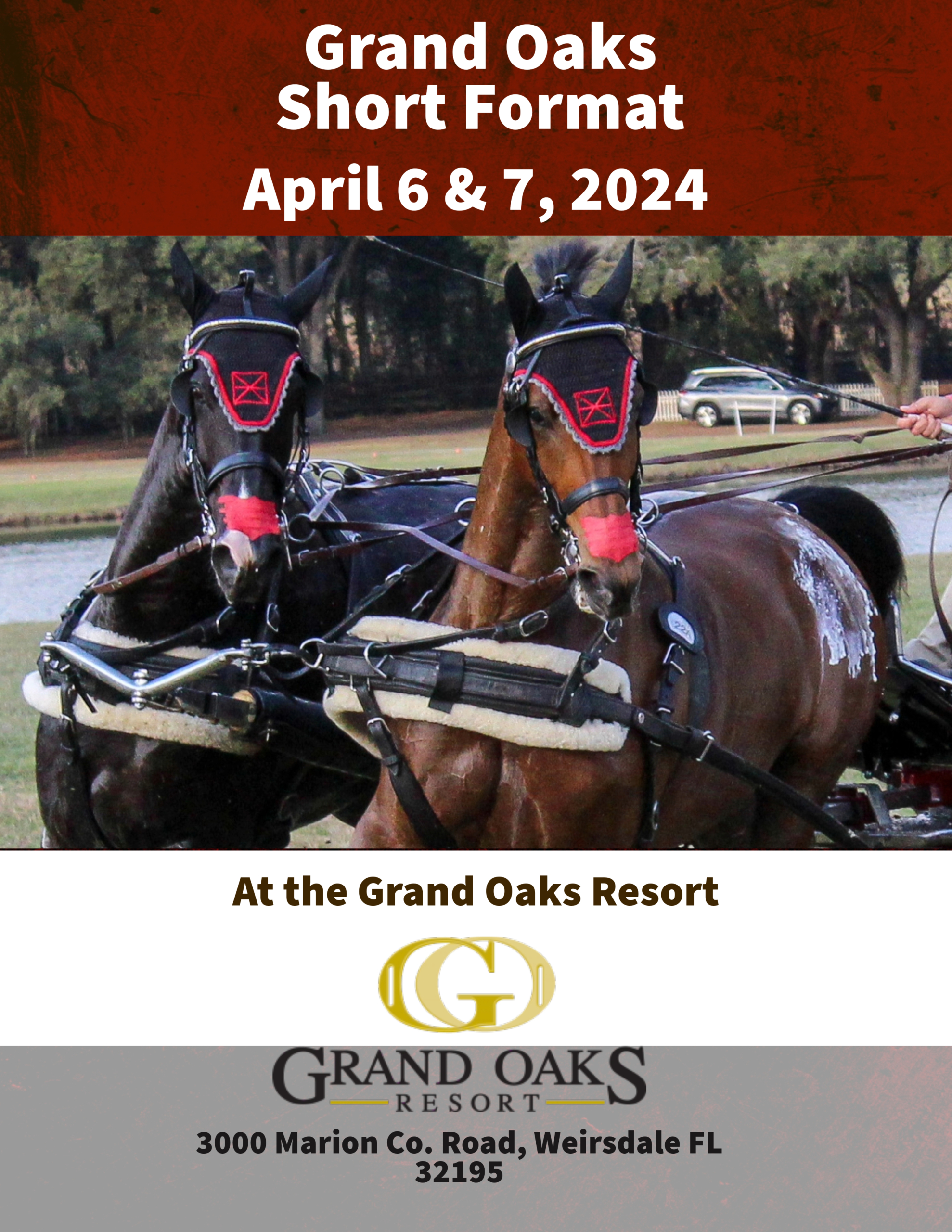 carriage driving competition at the Grand Oaks Resort