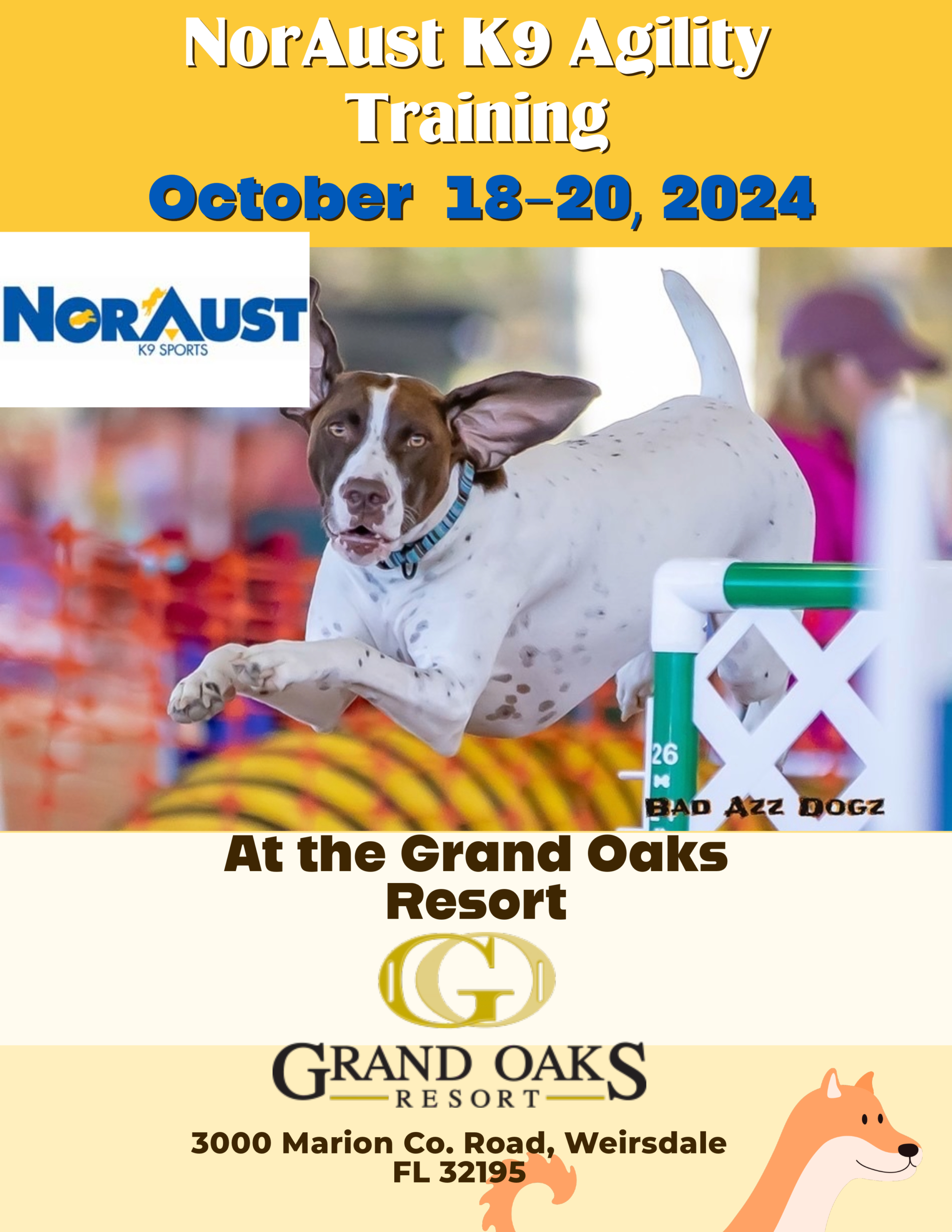 K9 dog agaility training at the Grand Oaks Resort