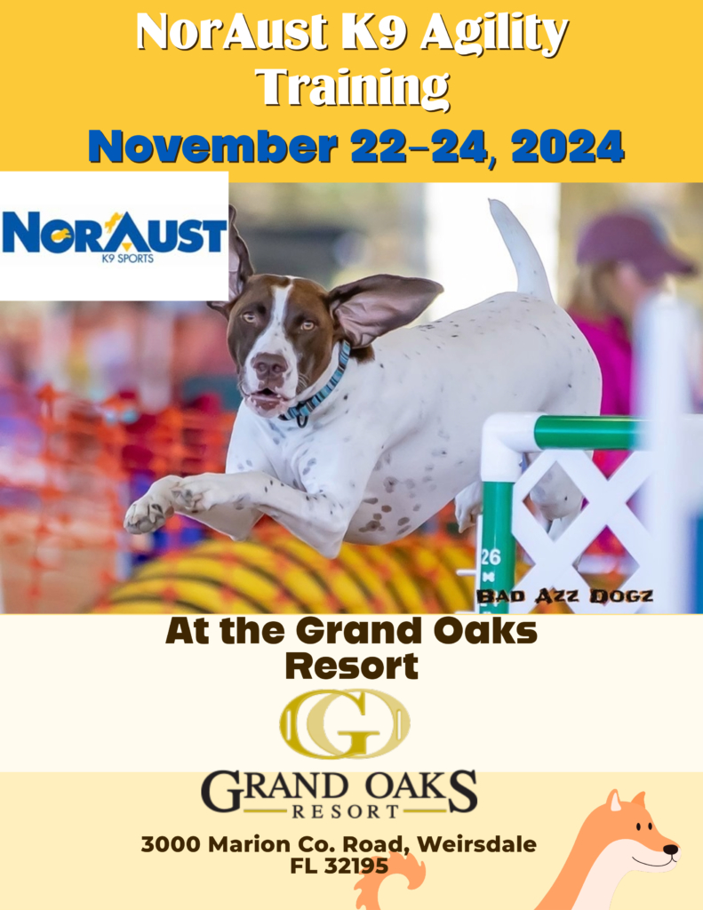 K9 dog agility training at the Grand Oaks Resort