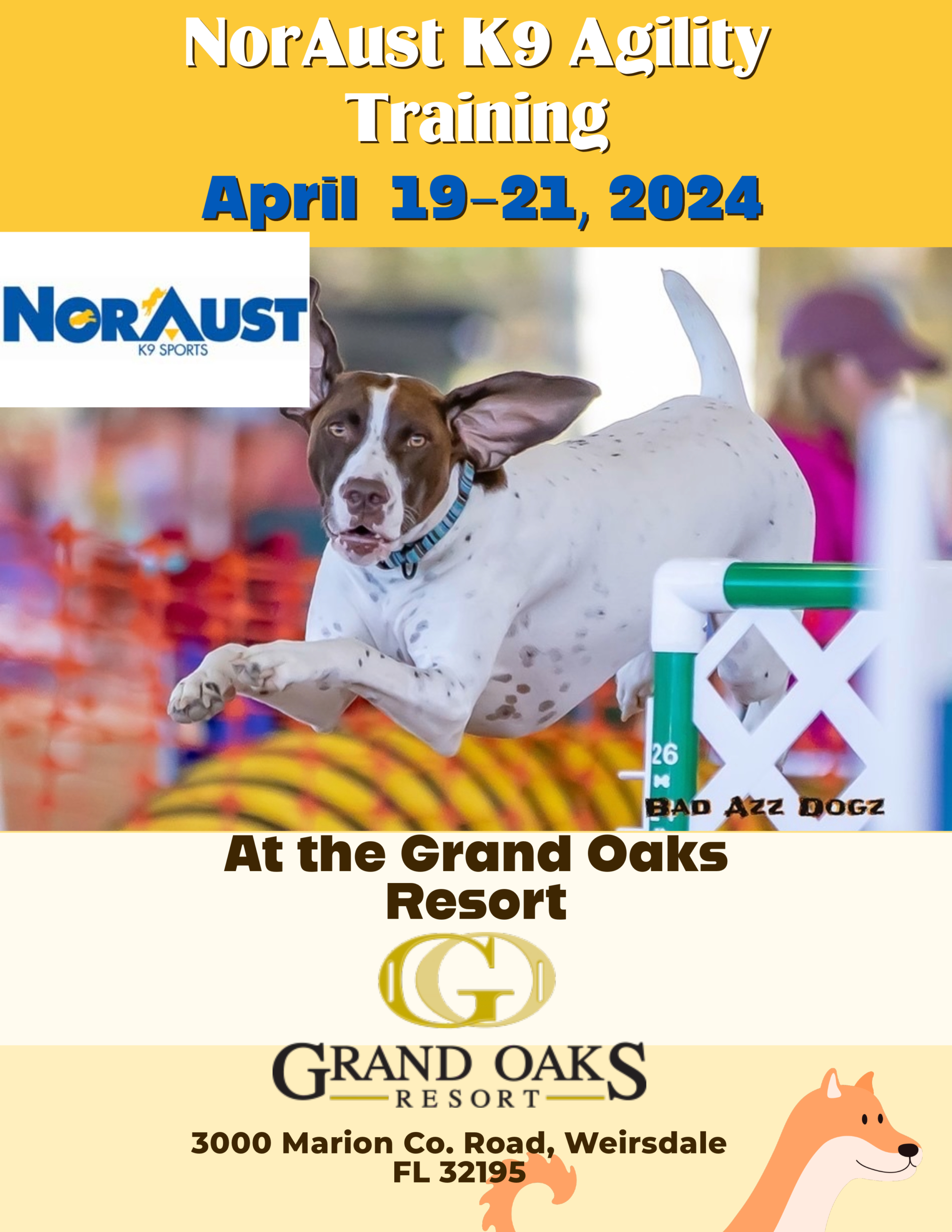 Dog agility at the Grand Oaks Resort