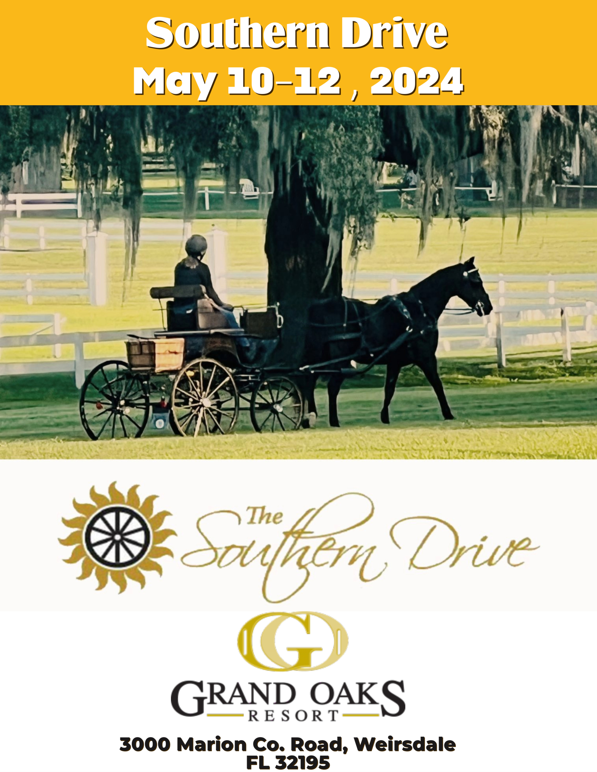 carriage driving at the Grand Oaks Resort