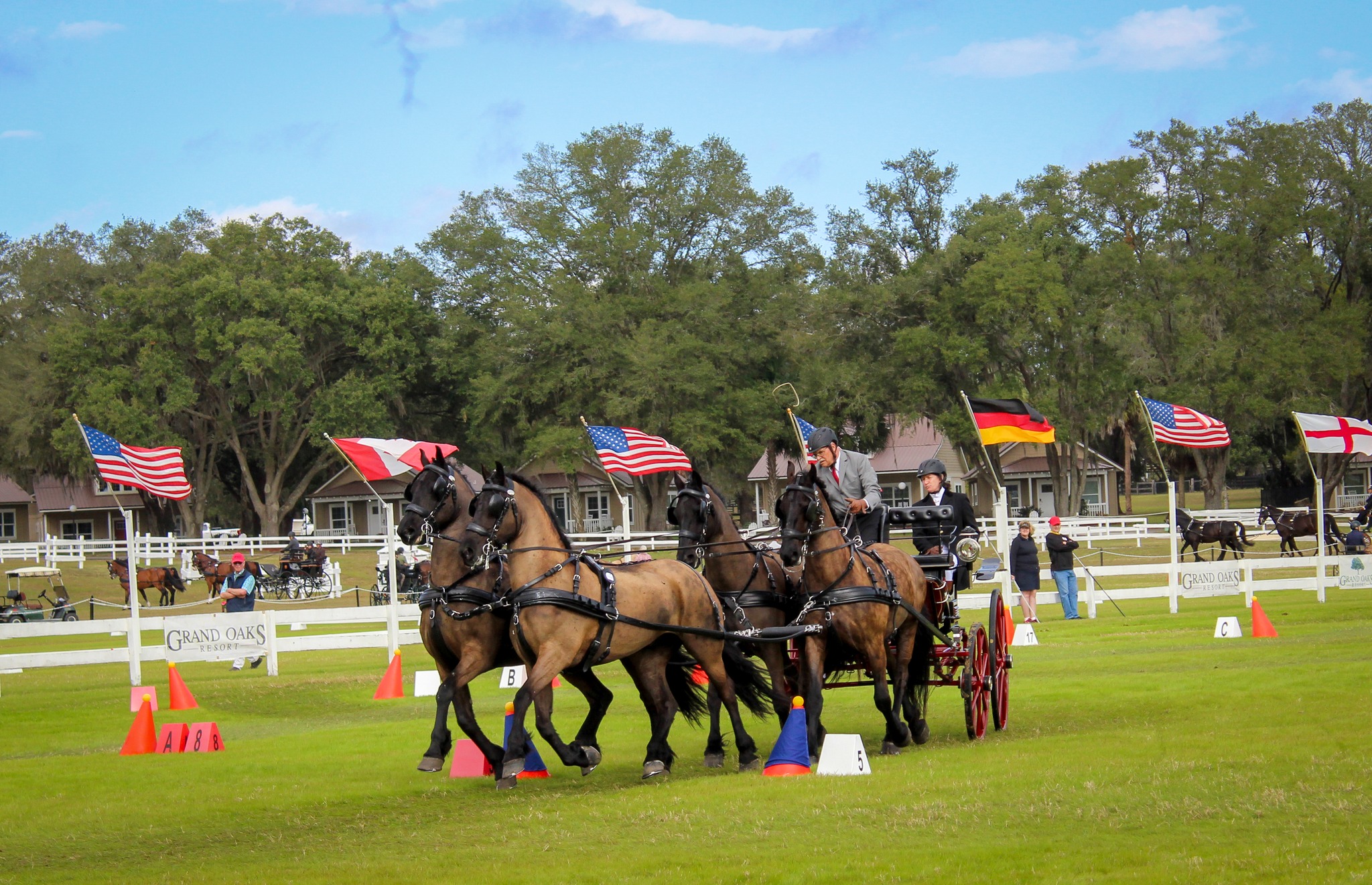 Grand Oaks CDE carriage Driving event