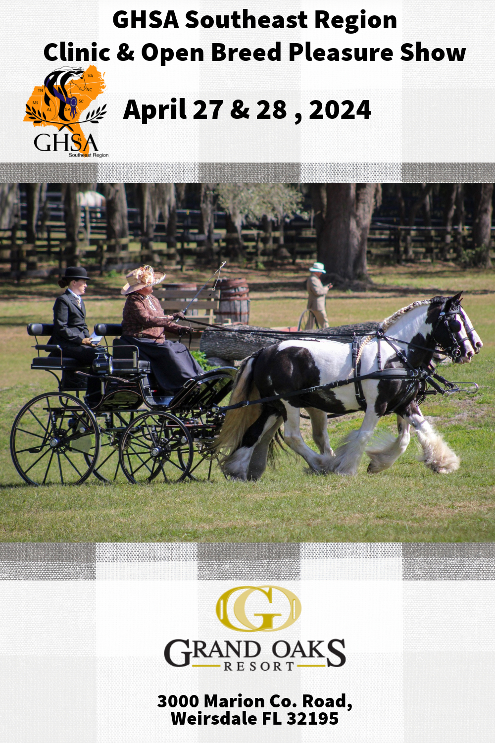 Gypsy Vanner Horse Show at the Grand Oaks Resort