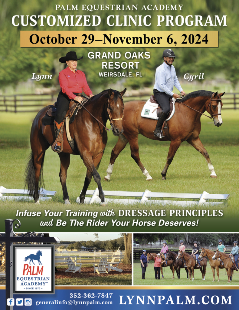 Palm Equestrian Academy clinic at Grand Oaks Resort