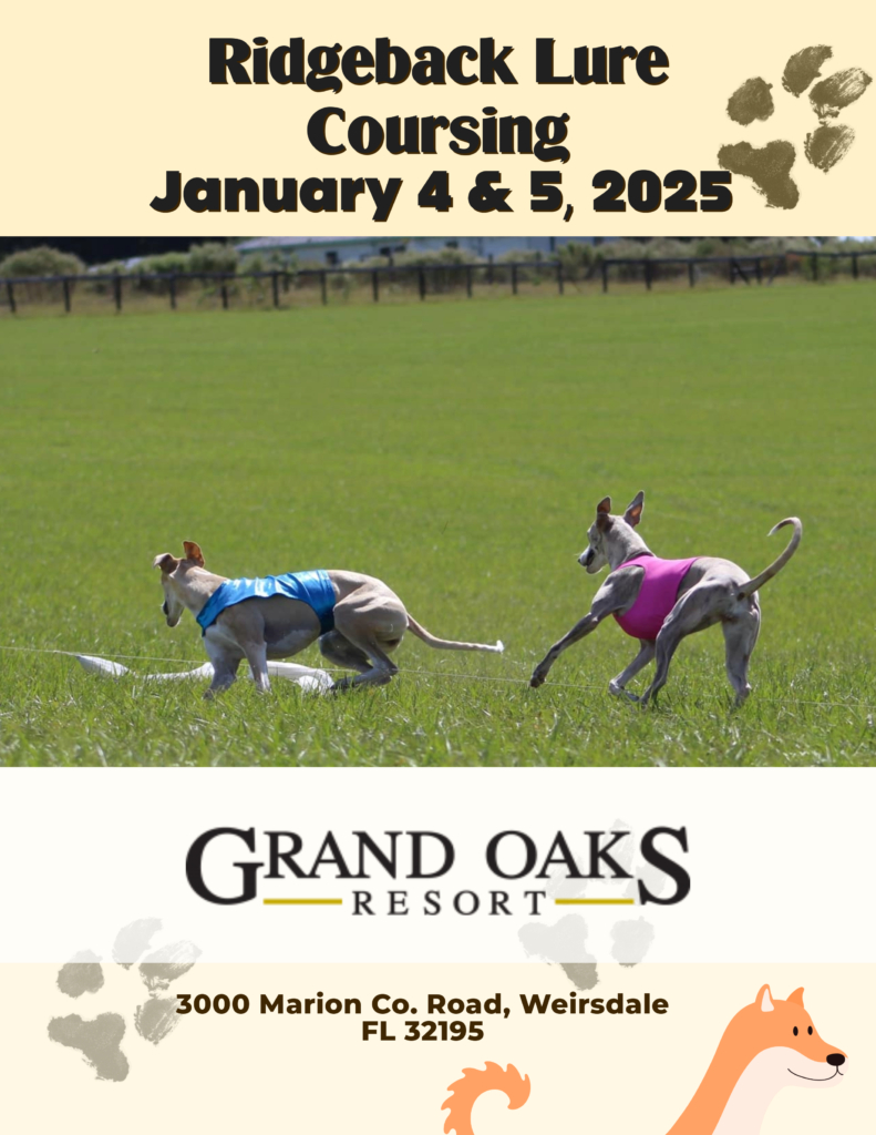 Sunshine State Rhodesian Ridgeback Club Lure Coursing, January 4-5, 2025 at the Grand Oaks Resort