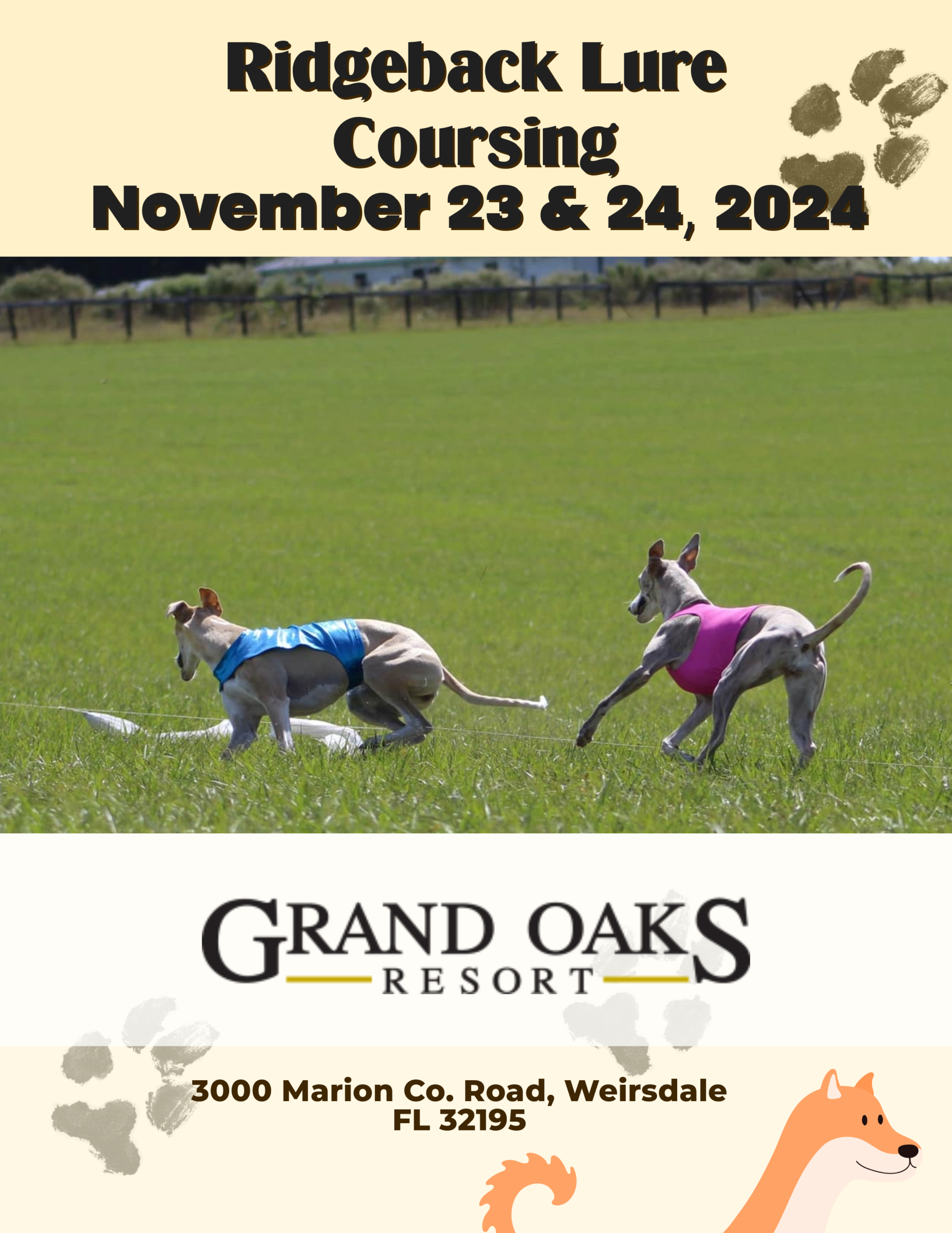 Ridgeback Lure Coursing at the Grand Oaks Resort