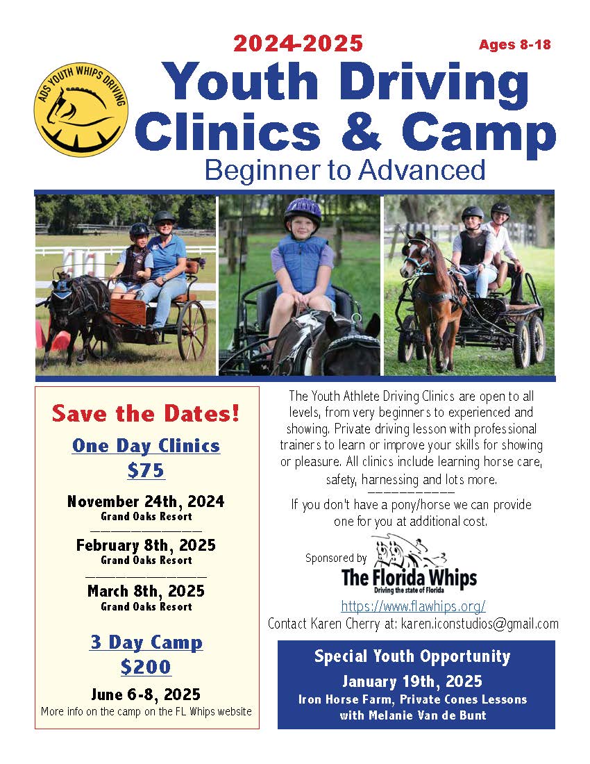 Youth driving clinic at the Grand Oaks Resort