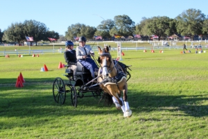 Grand Oaks Short Format