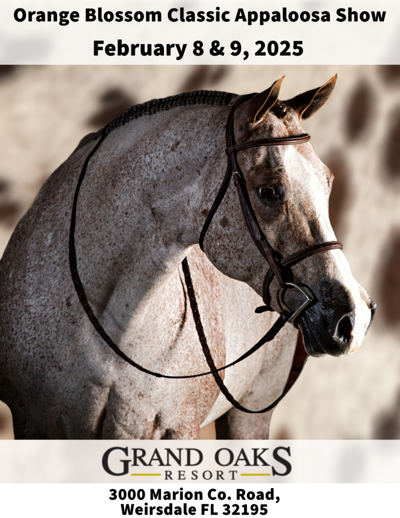 Appaloosa Show at the Grand Oaks Resort