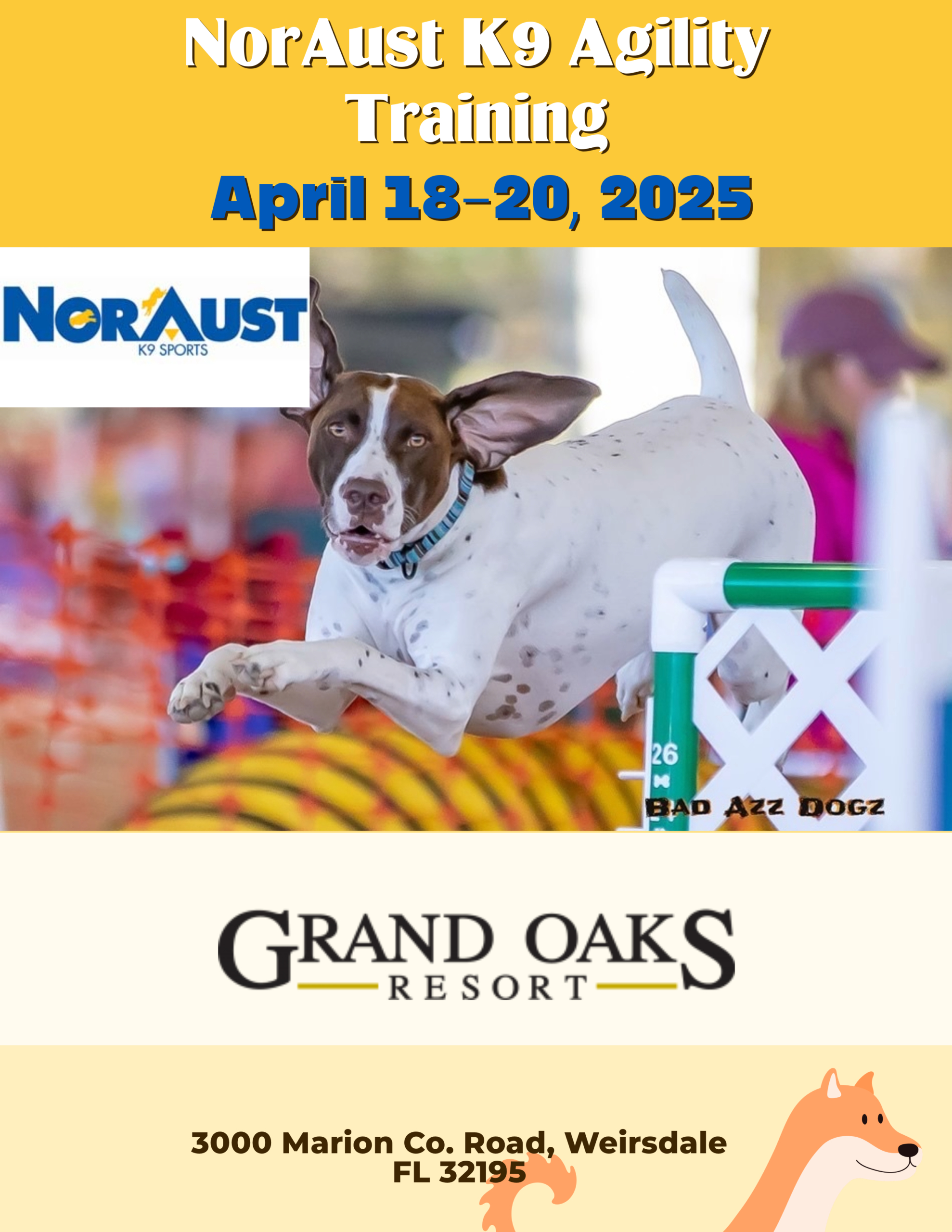 NorAust K9 agility at the Grand Oaks Resort