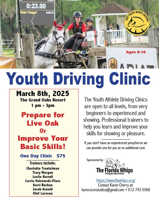 Youth Driving Clinic at the Grand Oaks Resort