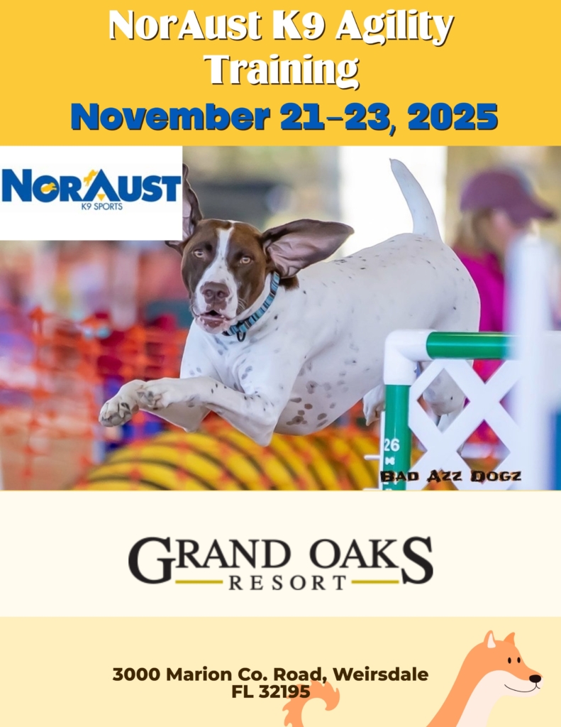 NorAust K9 Agility Training