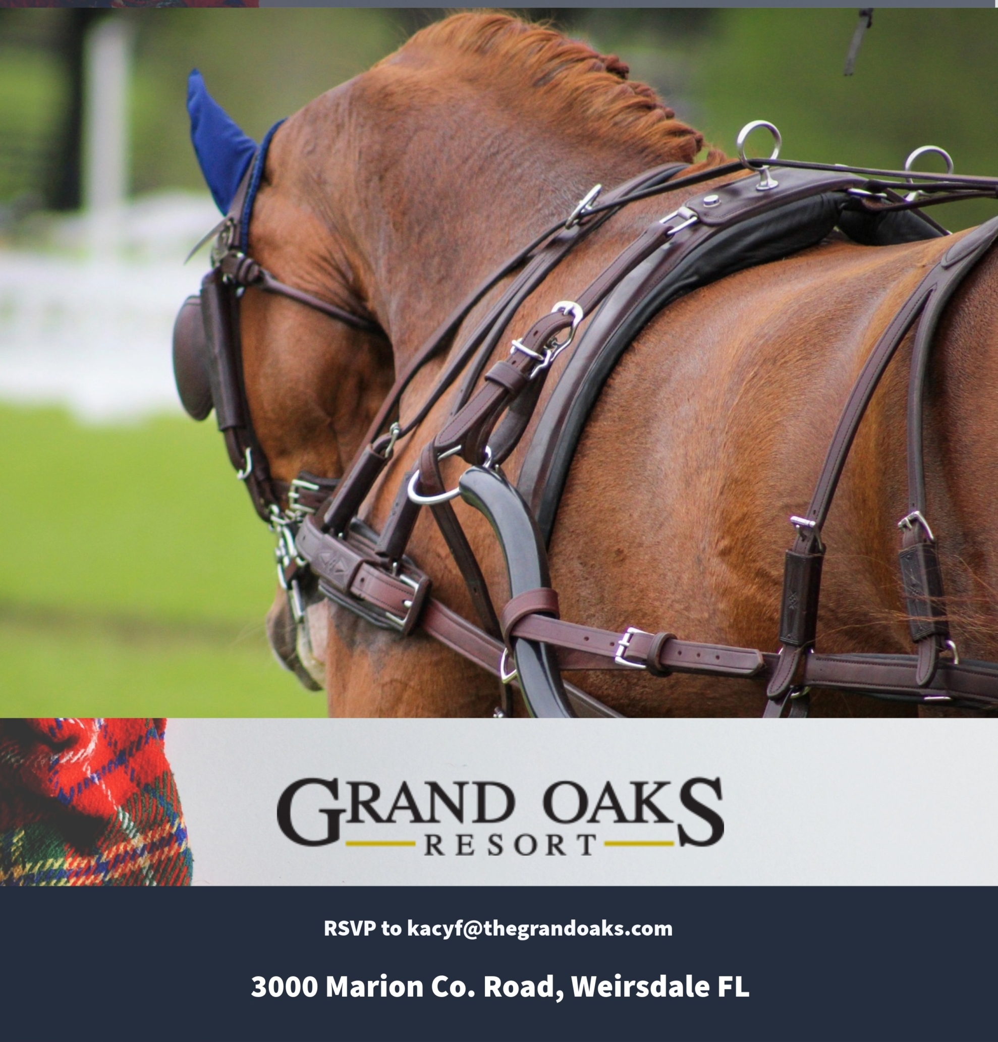 International d'Attelage de Tradition Sporting Day