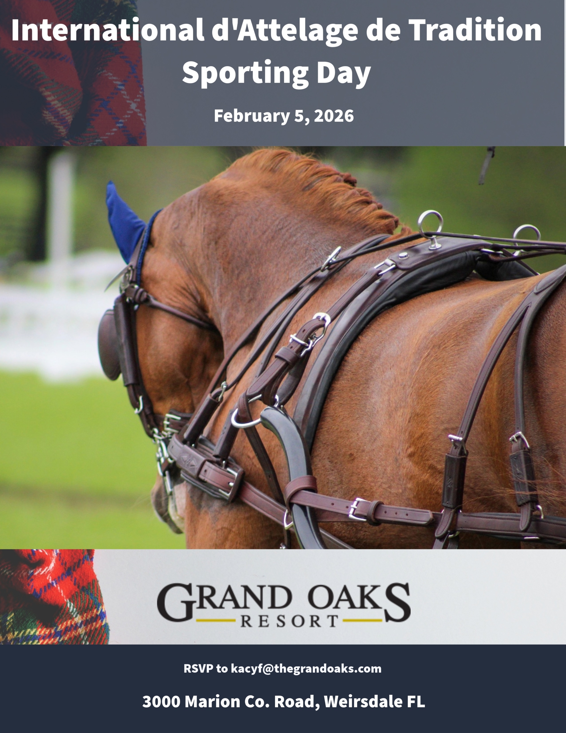 International d'Attelage de Tradition Sporting Day