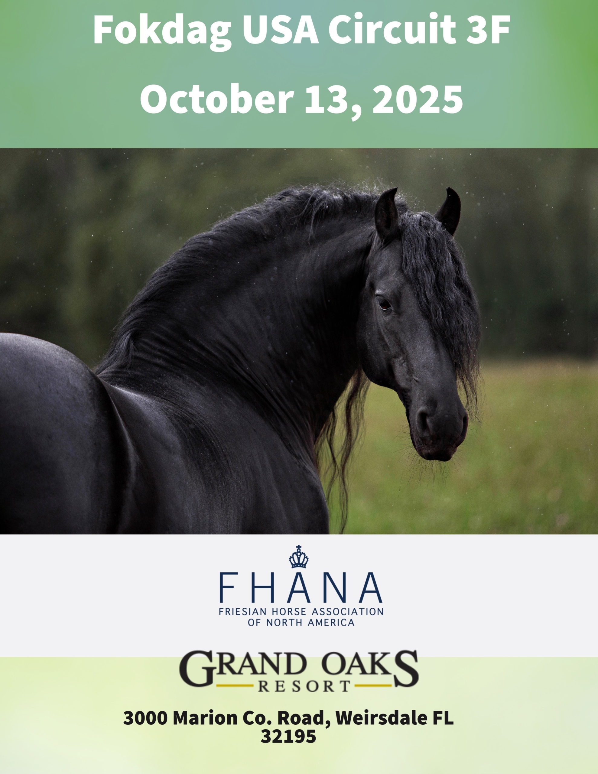 Fresian horse inspection at the Grand Oaks Resort