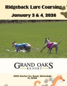 Lure coursing dog event at the Grand Oaks Resort