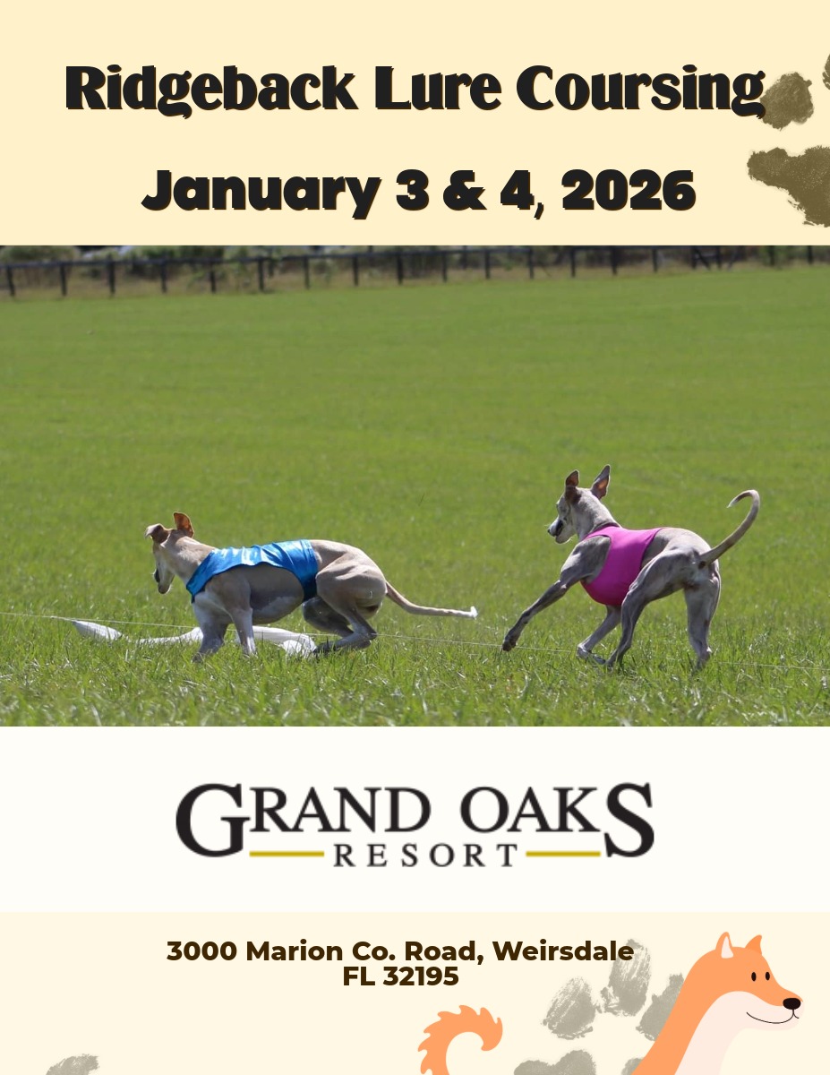 Lure coursing dog event at the Grand Oaks Resort