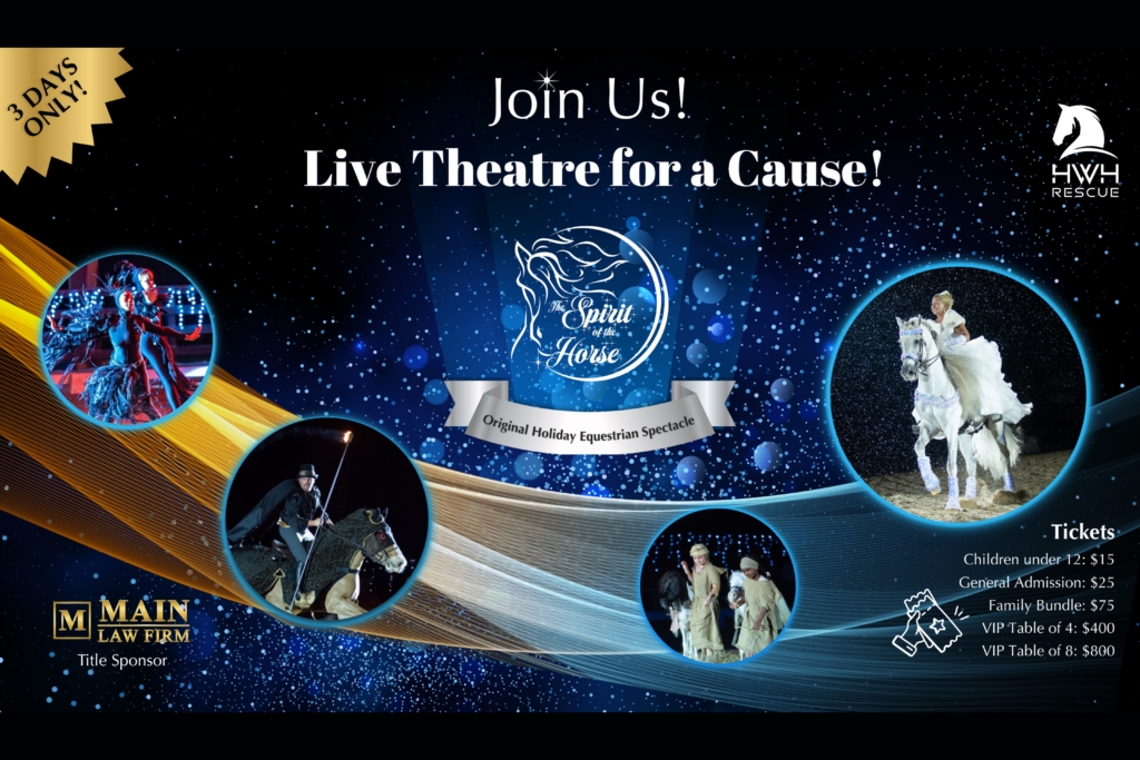 Live entertainment near The Villages, Florida