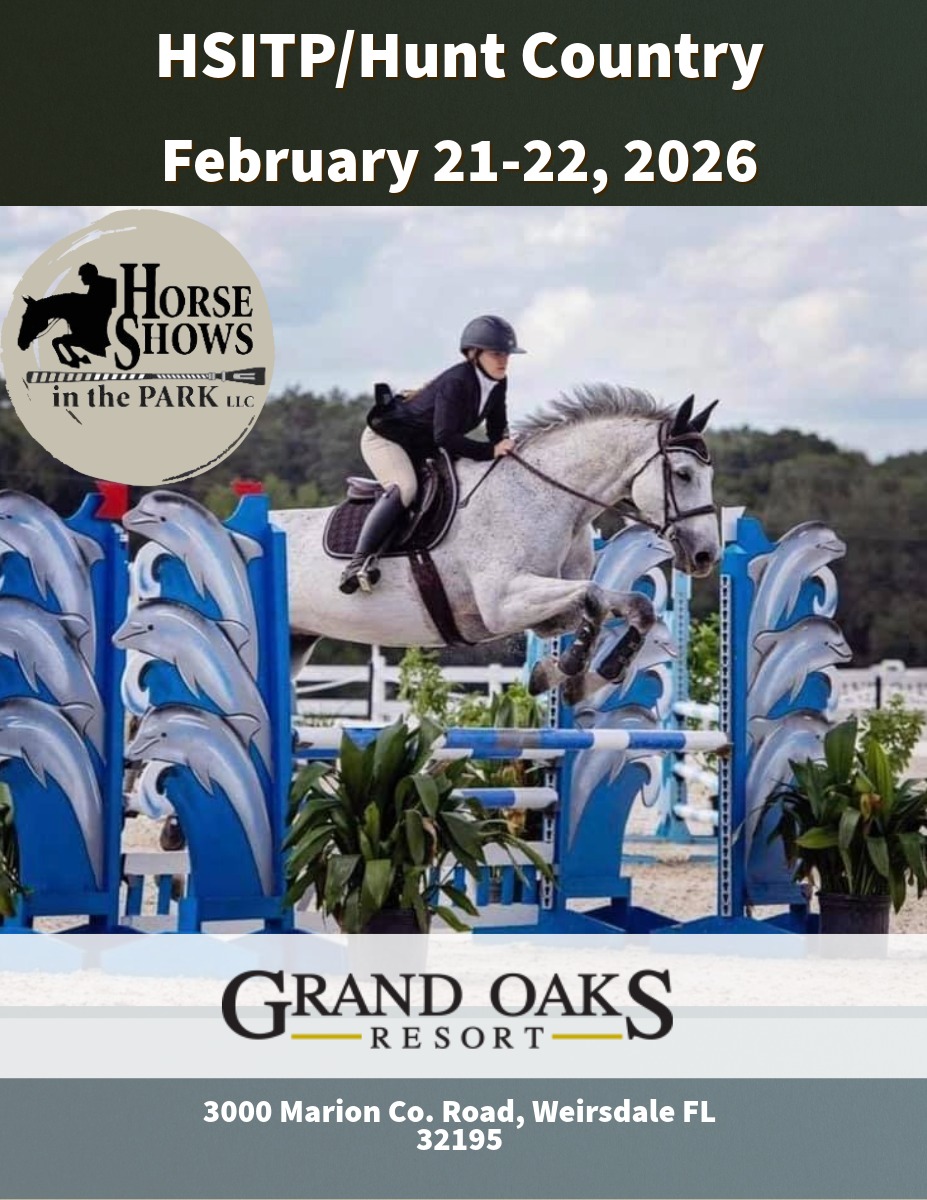 HSITP Hunter/Jumper show in Central Florida