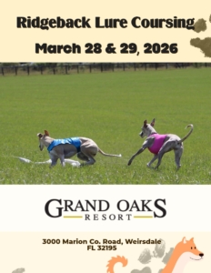 Ridgeback Dog Lure Coursing at the Grand Oaks Resort