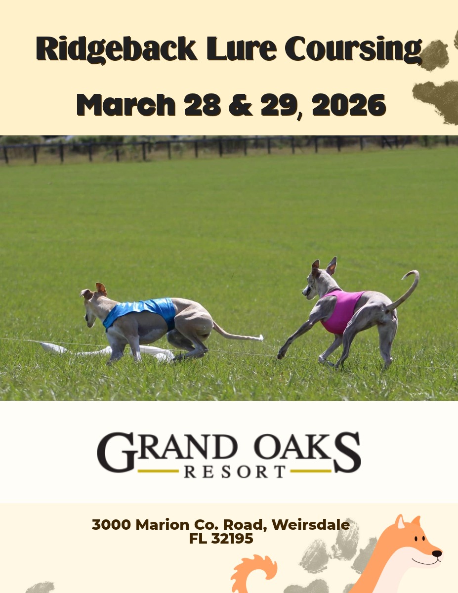 Ridgeback Dog Lure Coursing at the Grand Oaks Resort