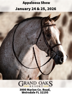 Appaloosa Show at the Grand Oaks Resort