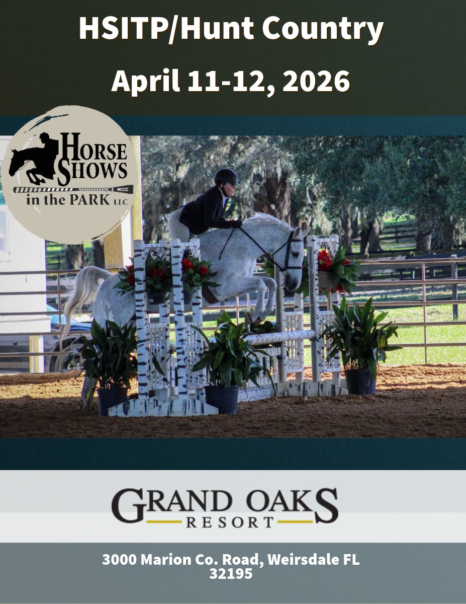 Hunter/Jumper show in Central Florida