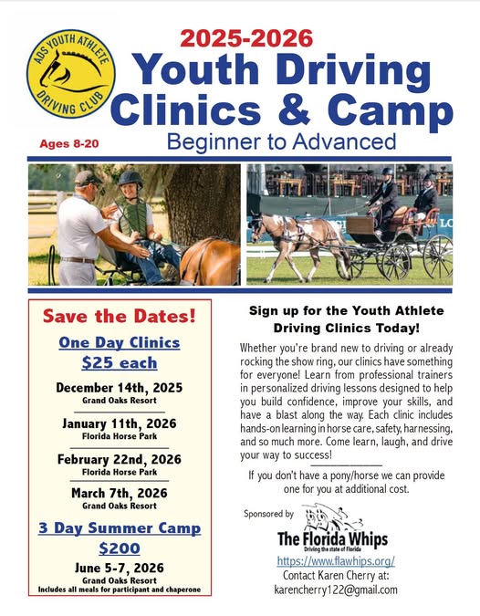 horse summer camp in Weirsdale, Florida