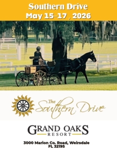 carriage show at the Grand Oaks Resort