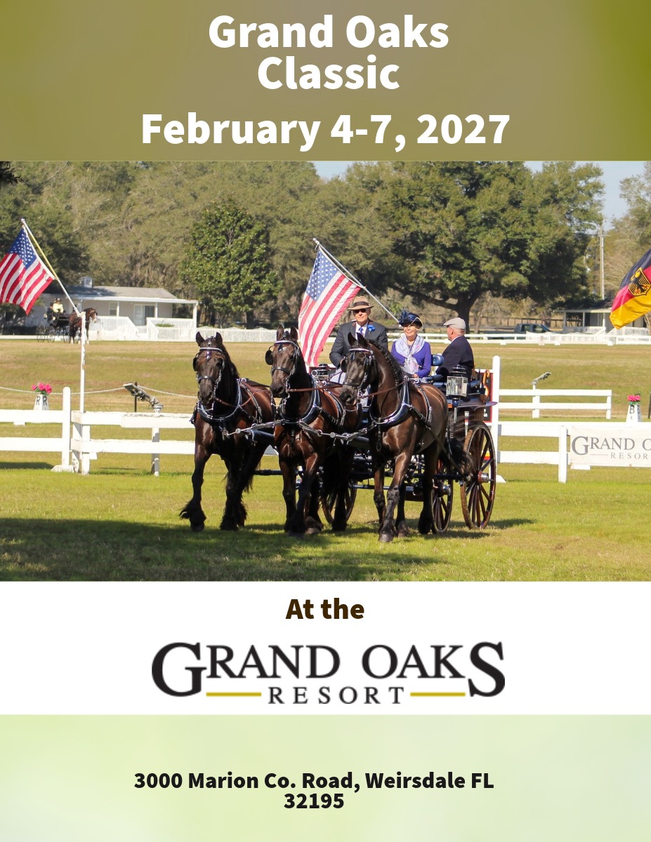 Carriage driving horse show in Weirsdale, Florida