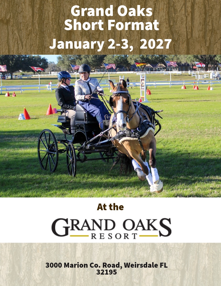 Florida Carriage Horse Show