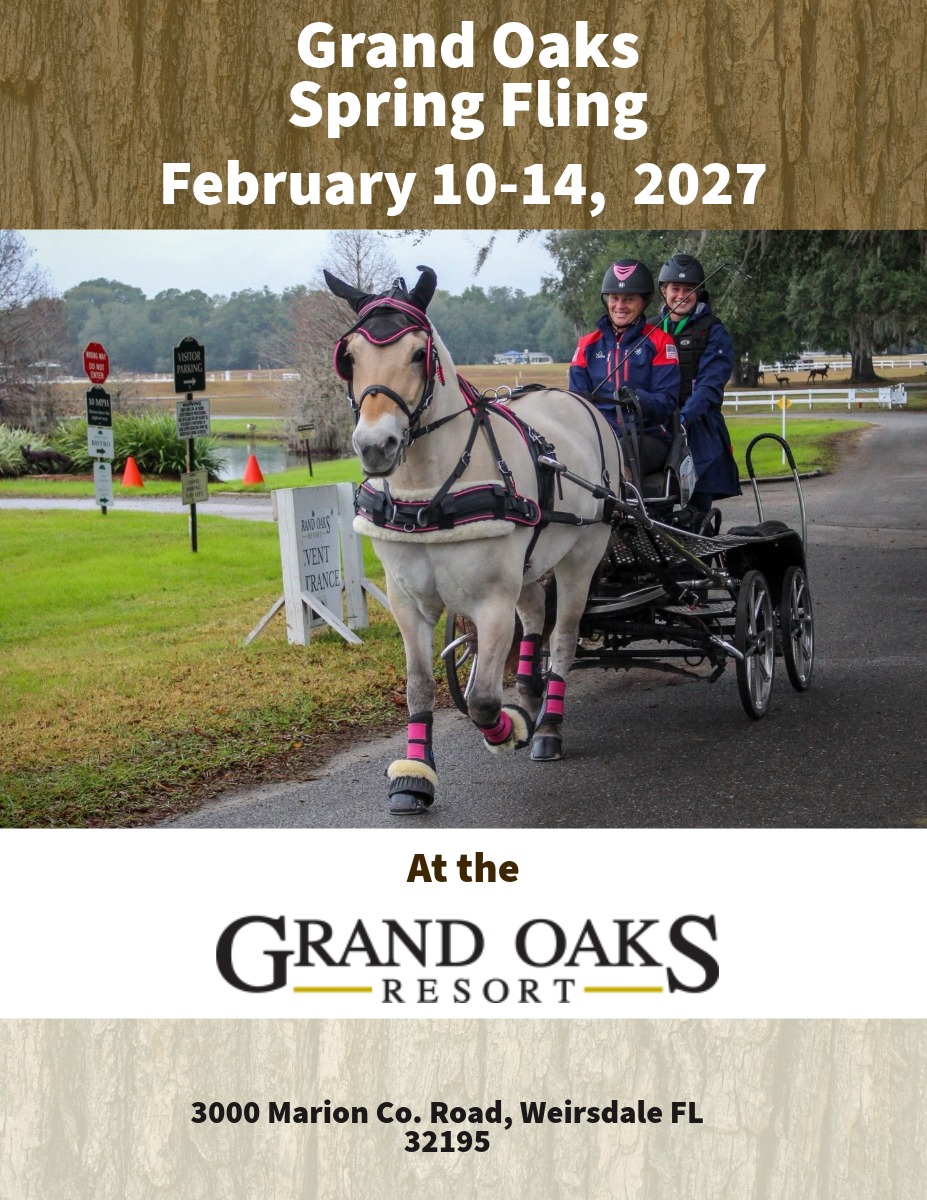 Carriage driving event in Weirsdale, Florida