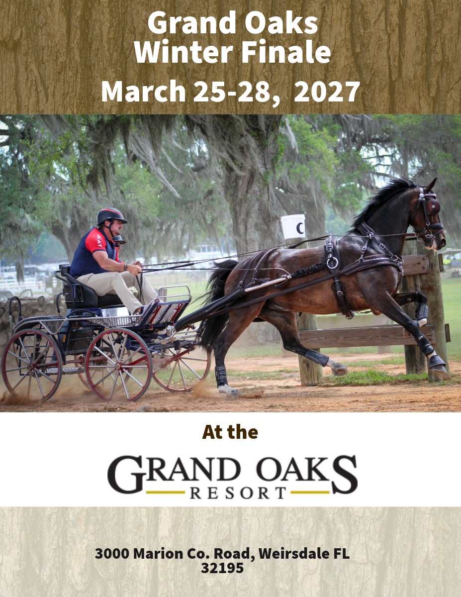 Carriage driving horse show in Weirsdale, FL