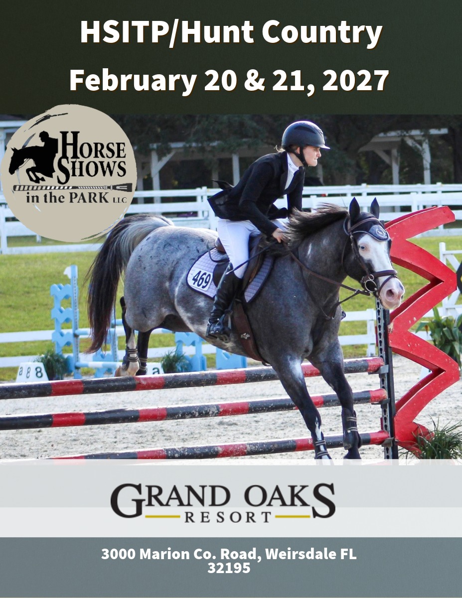 Hunter/Jumper Show in Central Florida
