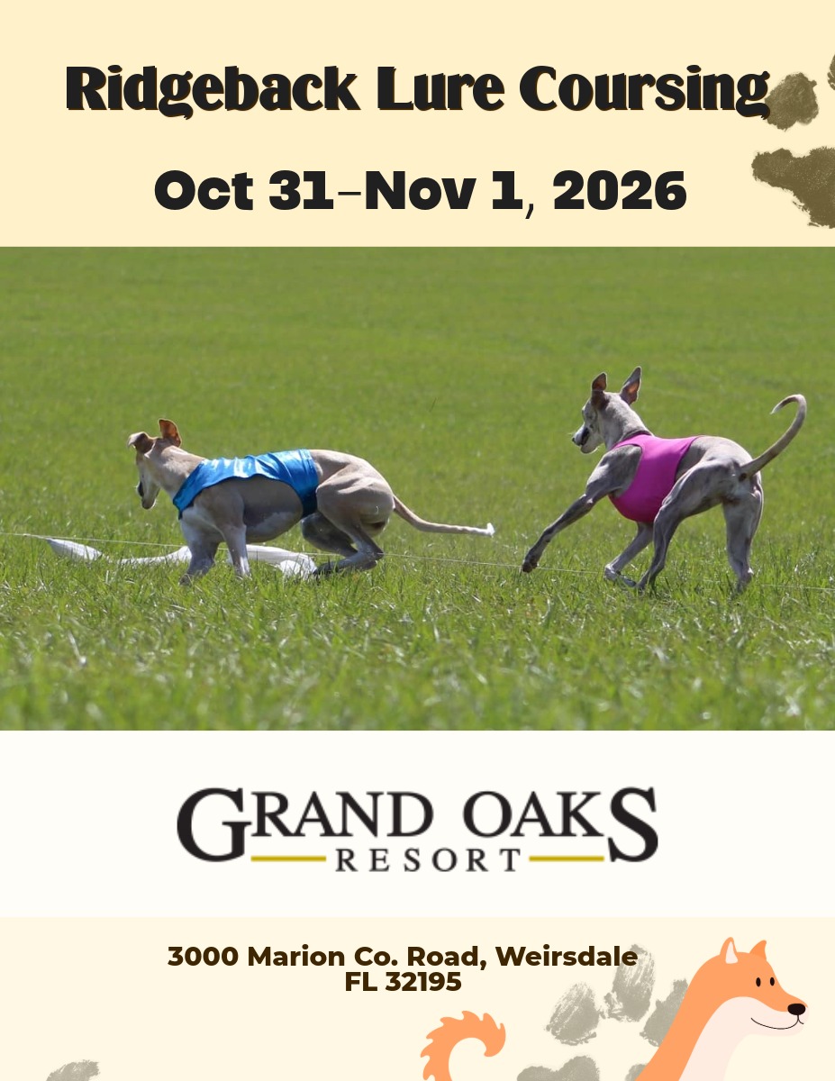dog shows in Central Florida