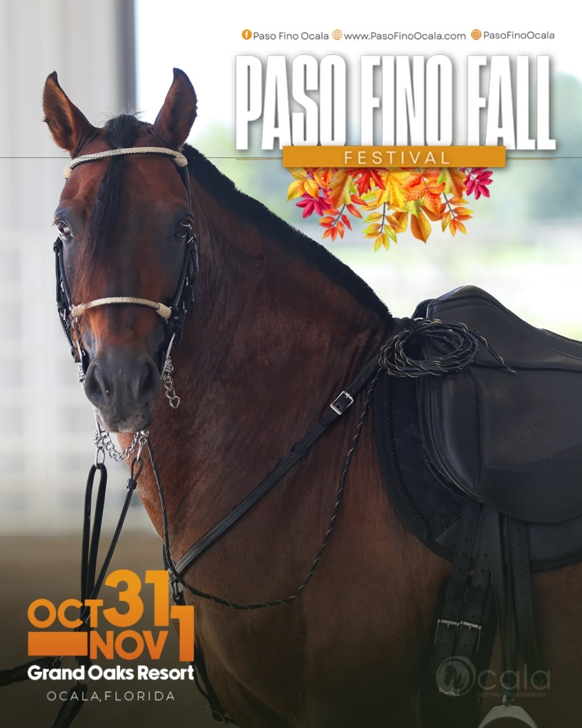 Ocala Paso Fino Horse Show